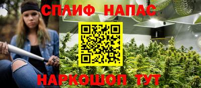 дживик Ставрополь