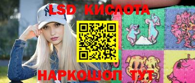 гашик Сланцы