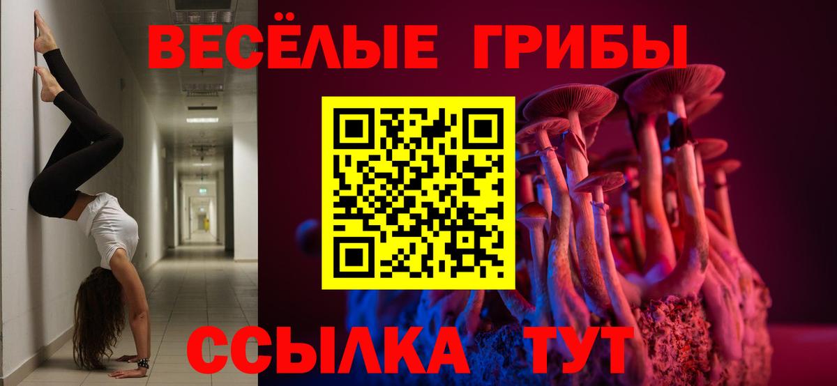 Галлюциногенные грибы Magic Shrooms Осинники